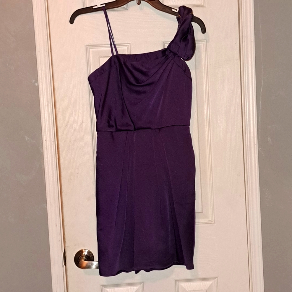 Maxi dress by BCBGMaxAzria size 2. Purple with pockets.